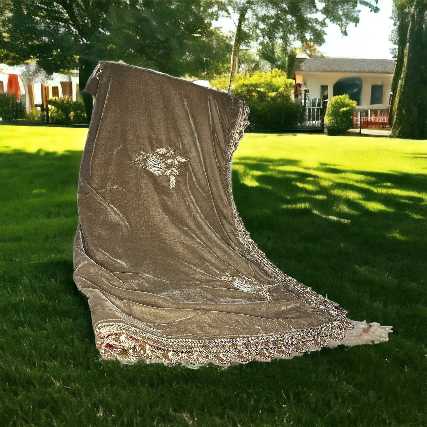 Golden Beige Handwork fully finished Partywear shawl